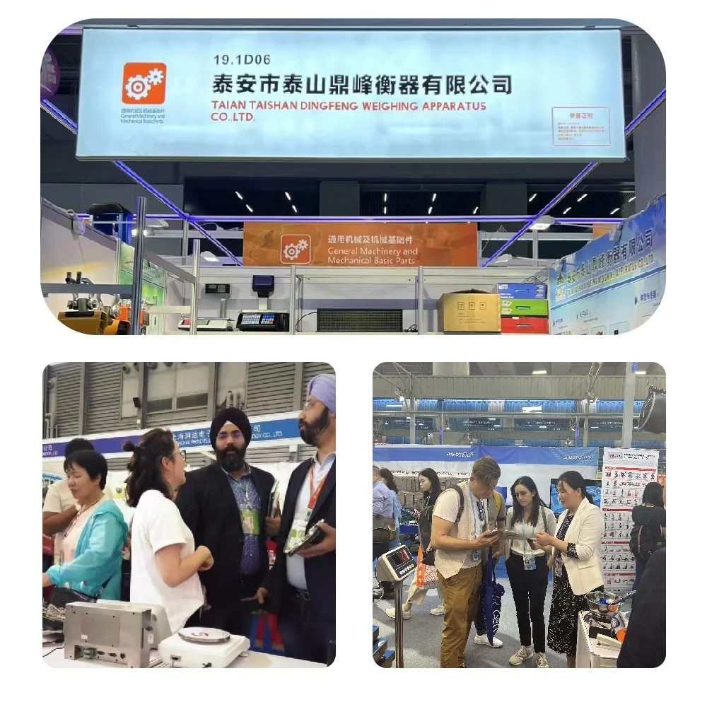 Ding Feng manufacturers supply highly accurate indicator weighing scale electronic vehicle weighing scale