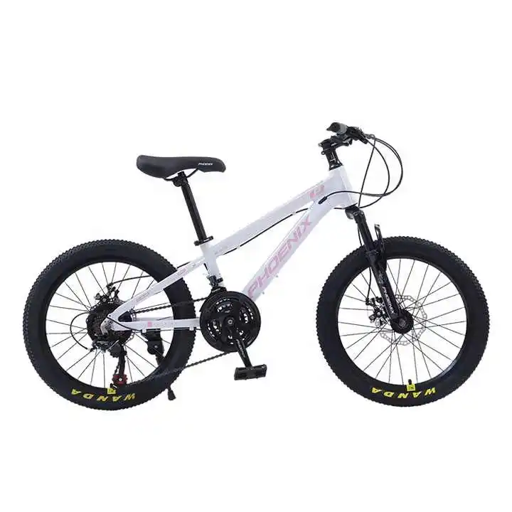 Wholesale Price 20 Inch BMX Children Bicicleta 21Speed Cycle Tire Good Quality Man Bicycle Sport Mountain Bike for Sale