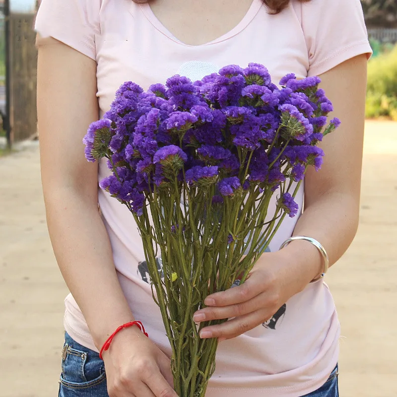 
FBY02S-69 Wholesale Eternal Real Natural preserved flower Long Lasting Dried Flower Preserved Myosotis Limonium Forget Me Not 