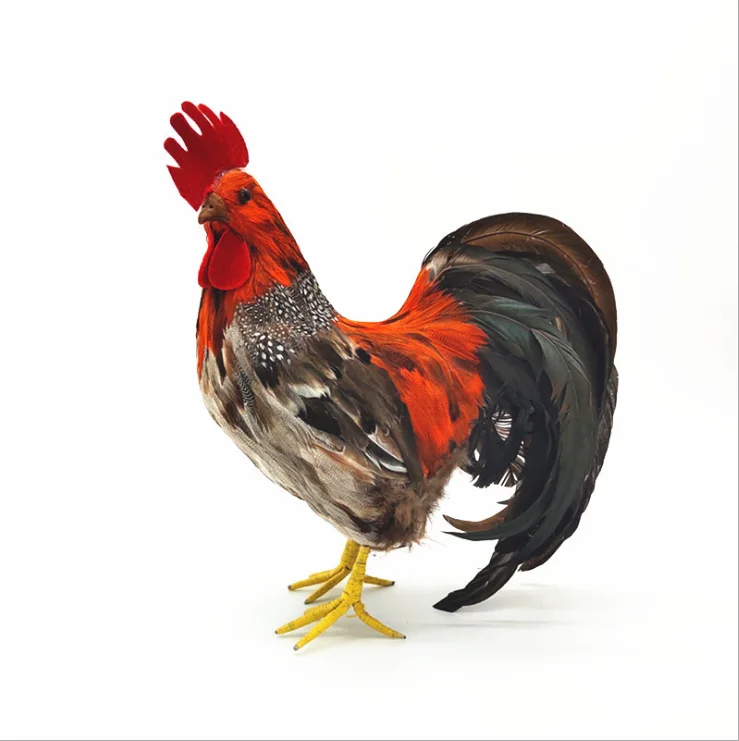 rooster henYU