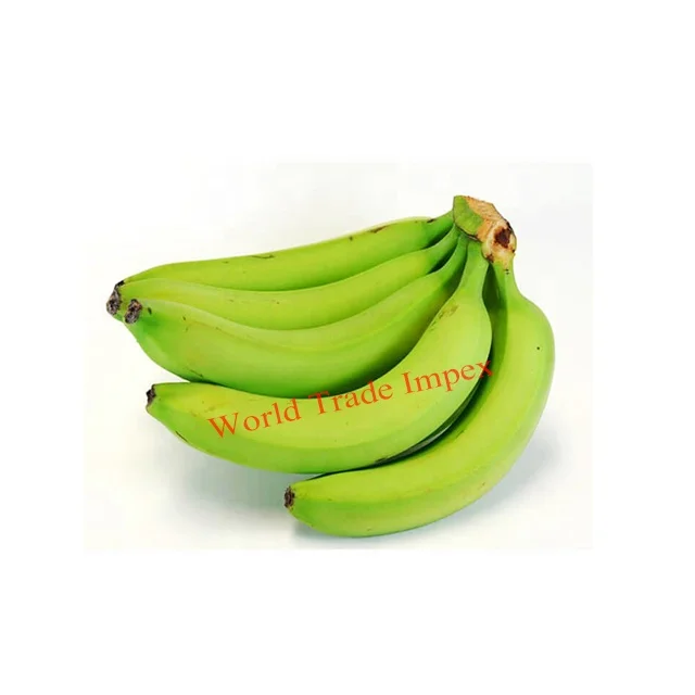 
fresh indian cavendish banana for sale 