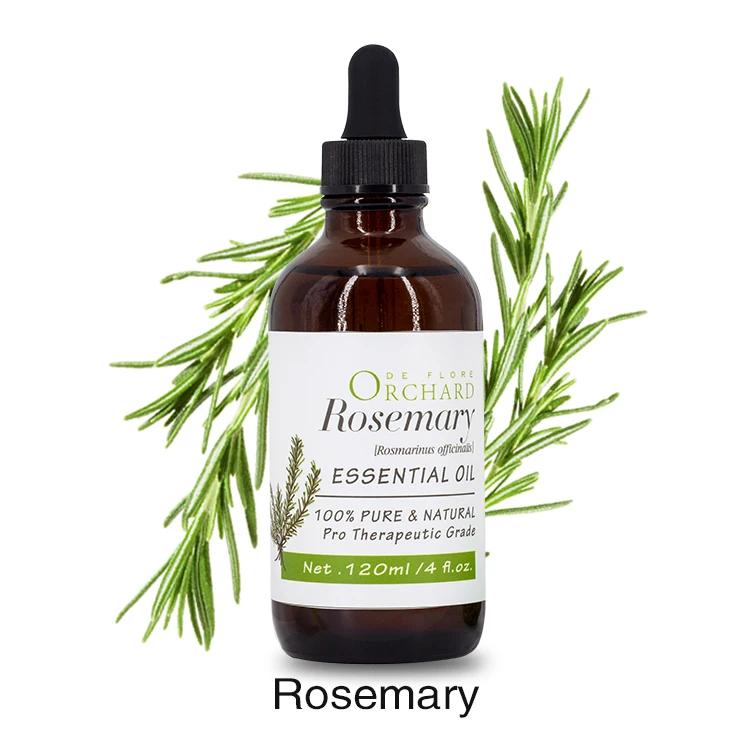 Wholesale 100% Pure Natural Rosemary Essential Oil New Bulk