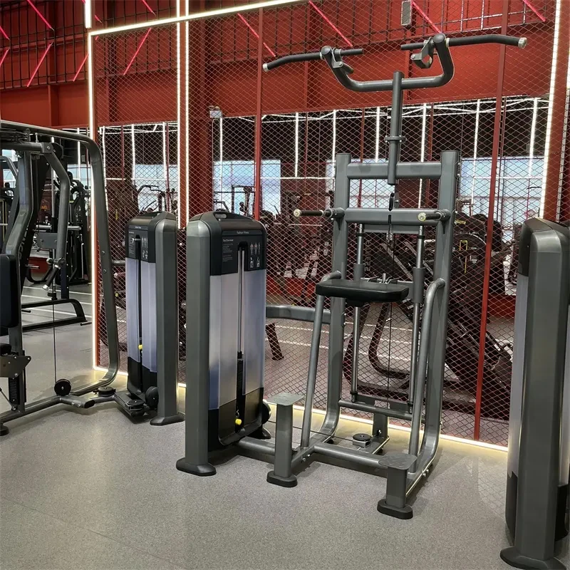 Factory Direct Sale Dip Chin Assist Machine Commercial Gym Pin Loaded Fitness Equipment Assisted Chin Up Dip Machine