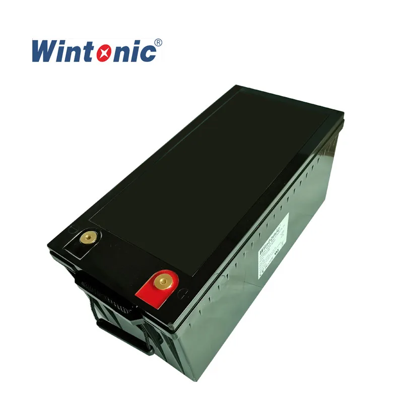 Deep Cycle High Discharge 48 volt LiFePo4 Battery Pack Lithium Ion 48V 100Ah 5kw 10kw Battery for Solar Forklift EV Golf Cart