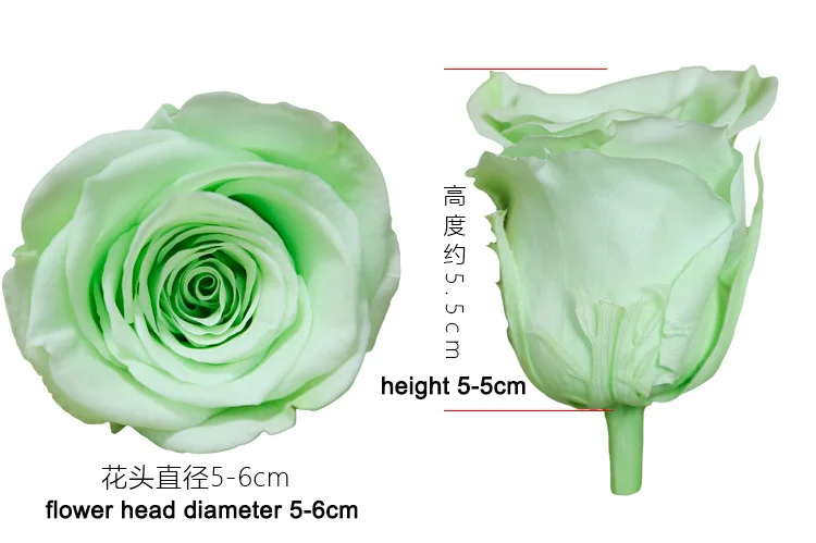 Dubai fresh cut flower bouquet Beautiful Rainbow Preserved Flower stabilized rose wholesale
