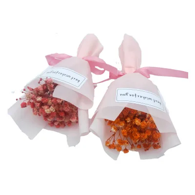 
Fresh Mini Souvenir Gypsophila Flower Bouquet 