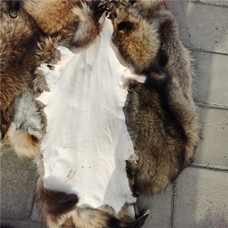 raccoon pelt (6).jpg