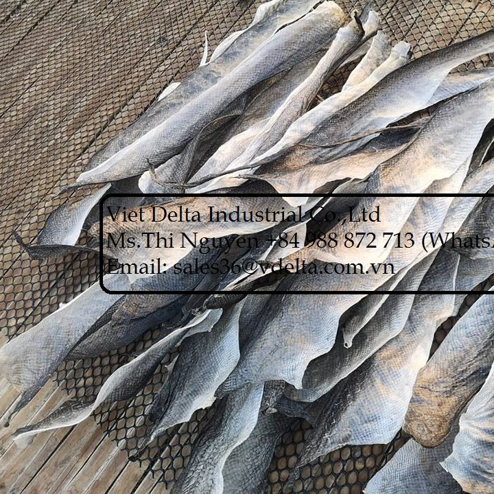 Заводская жареная Рыбная кожа-хрустящая кожа/закуска рыбной кожи из лосося/пангасиуса оптом так дешево Вьетнама (Кевин)