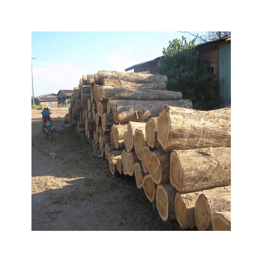 Hot Sale Best Quality Custom Teak Wood Logs Pine and Red Cherry Woods