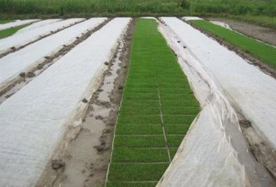 PP non woven weed mat eco-friendly cold-proof