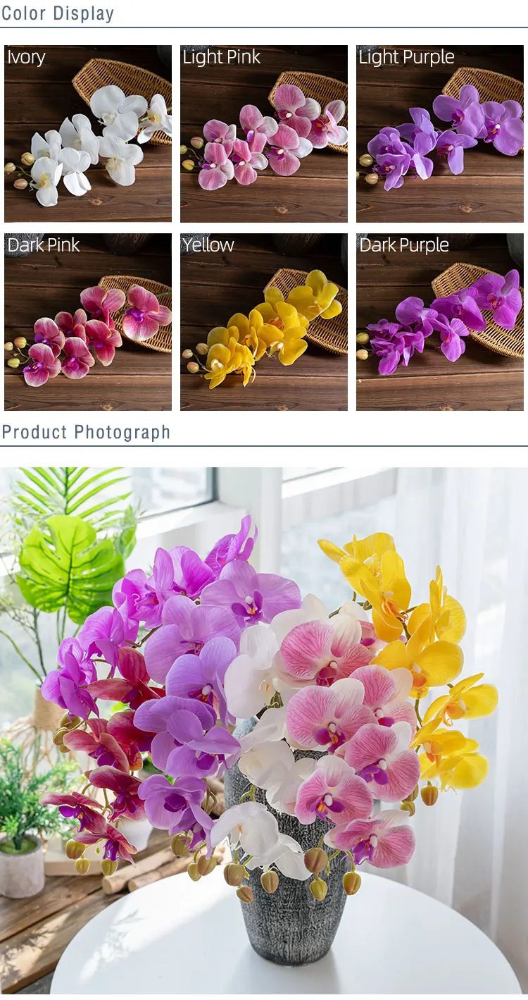 3 Height MW18904.jpg