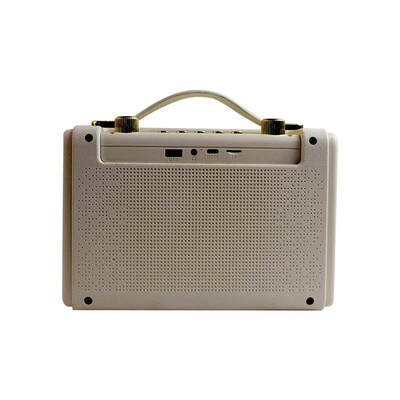 GOODCF 2024 New Wireless Portable Karaoke Speaker Bt 5.3 Rechargeable Microphone Karaoke Outdoor Speaker