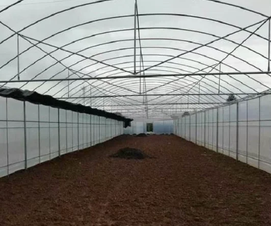 China Factory Outlet Single-span Greenhouses Customized One-Stop  Polytunnel Farming High Tunnel Agriculture Greenhouse