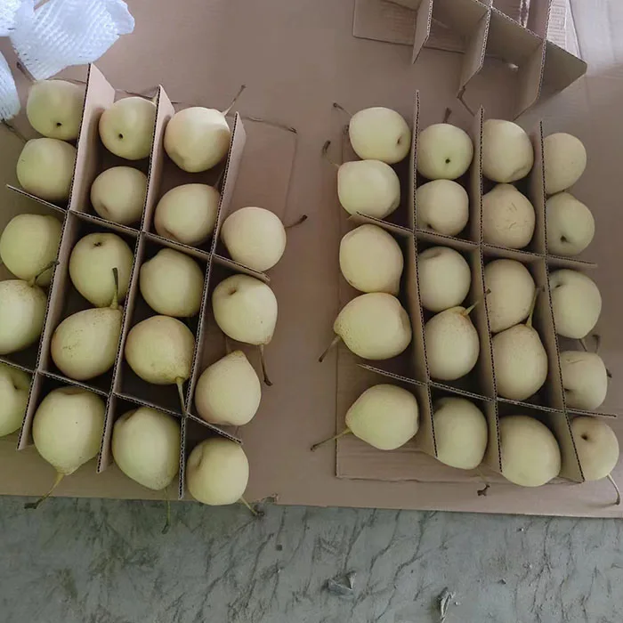 Китай свежие груши я/золотые груши