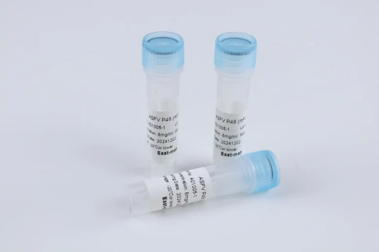 Exclusive Sales Recombiant Protein Powder Antibody PCT-Ab(mIgG2b/mK)