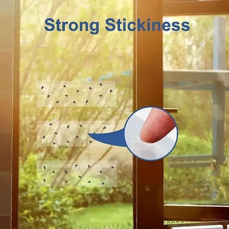 Hot Sale Window Fly Trap Transparent Gnats Catcher Glue Sticky