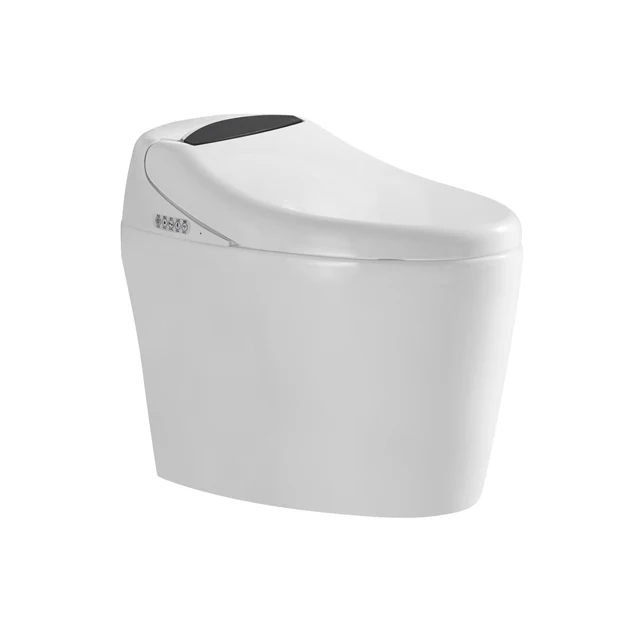 
Smart toilet with Intelligent functions and automatic wc bidet operation 