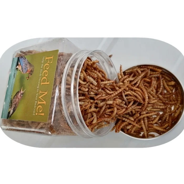 2022 Sale Wholesale best Poultry Animal Chicken feed mealworms