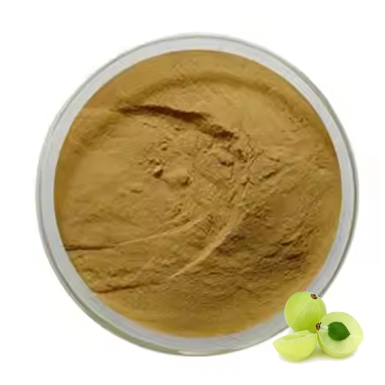 HONGDA Phyllanthus Emblica Extract Alma Fruit Juice Powder