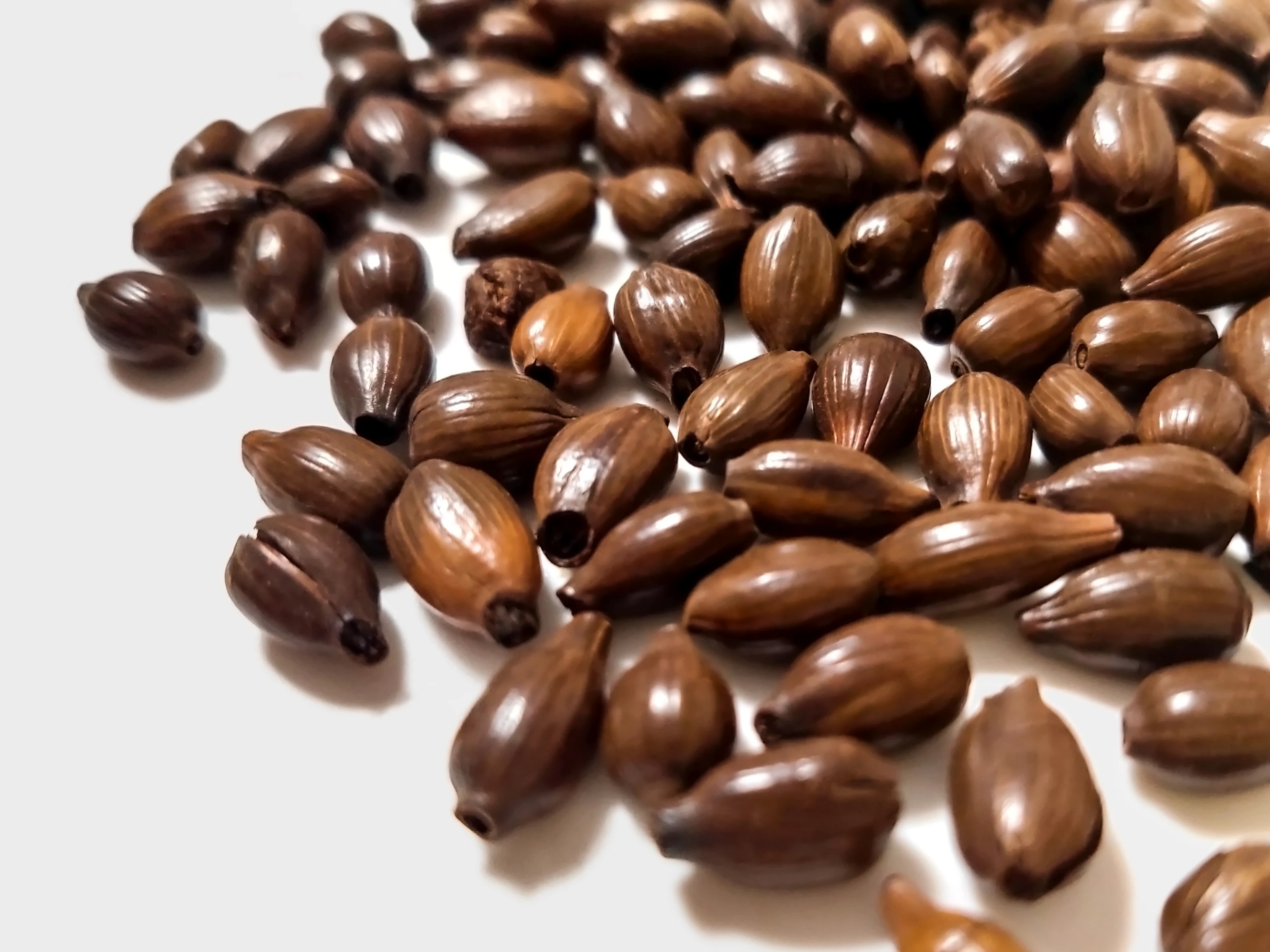 Japanese tea hot sale grain barley packaging loose leaf asian flavors tea