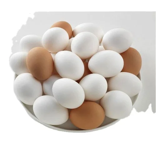 Organic Fresh Chicken Table Eggs & Fertilized Hatching Eggs USA origin / Fresh Chicken Table Eggs Brown and White