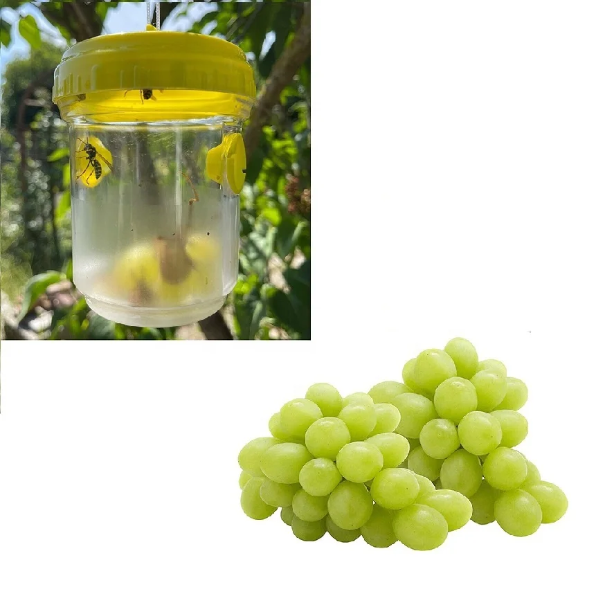 2 PC Reusable Wasp Trap Outdoor Wasp Killer Bee Trap Catcher for Patio Yard Garden Home