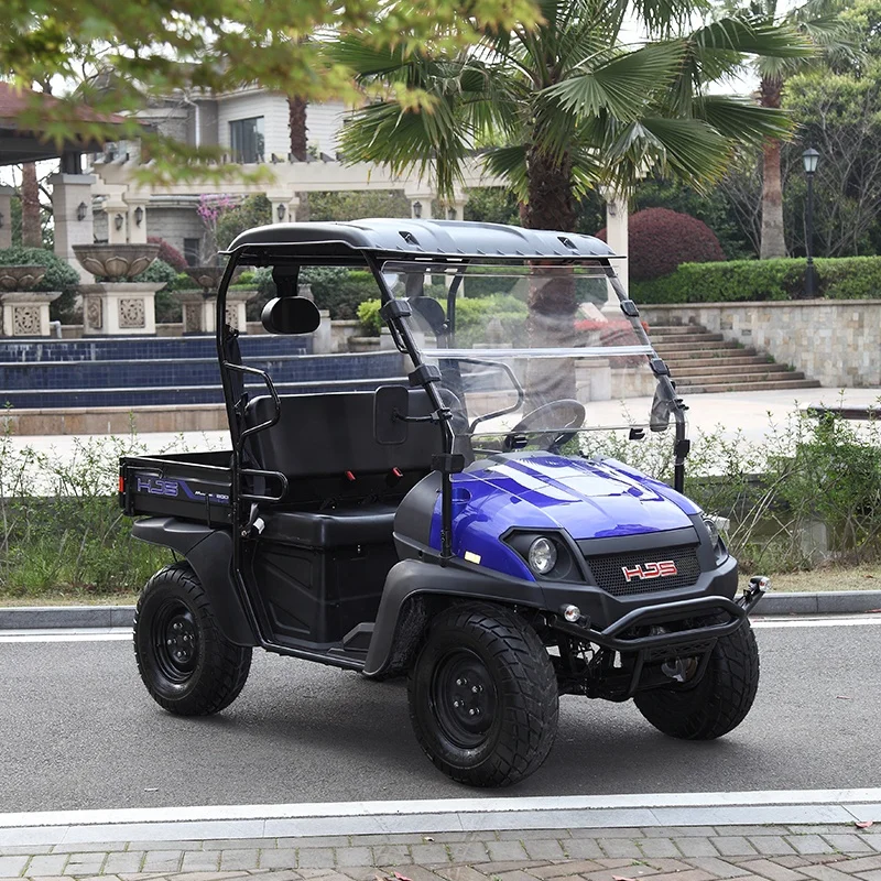  60 в 5 кВт 2 пассажира UTV ферма электрическая с грузовым ящиком и ветровым