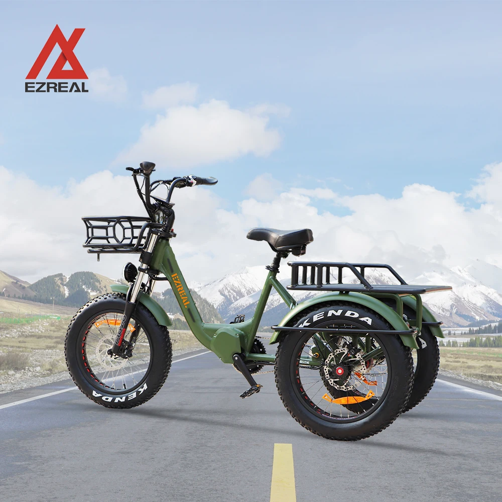 M600 500W BAFANG Mid ETRIKE 3 48V Electric Cargo Bike for Adults Open Body Type Three-Wheel Electric Tricycle