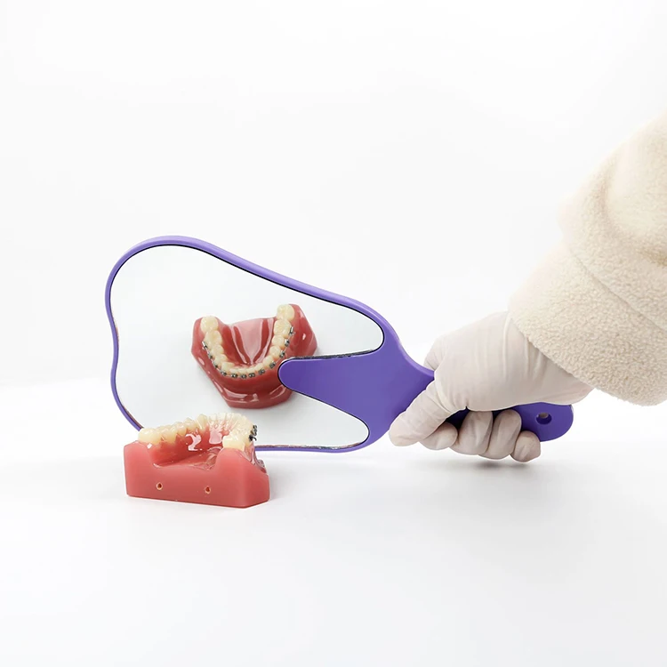 High Quality Dental Equipment Dental Clinic Cosmetic Mirror Gifts Colorful Plastic Dental Handheld Tooth-shaped Mouth Mirror