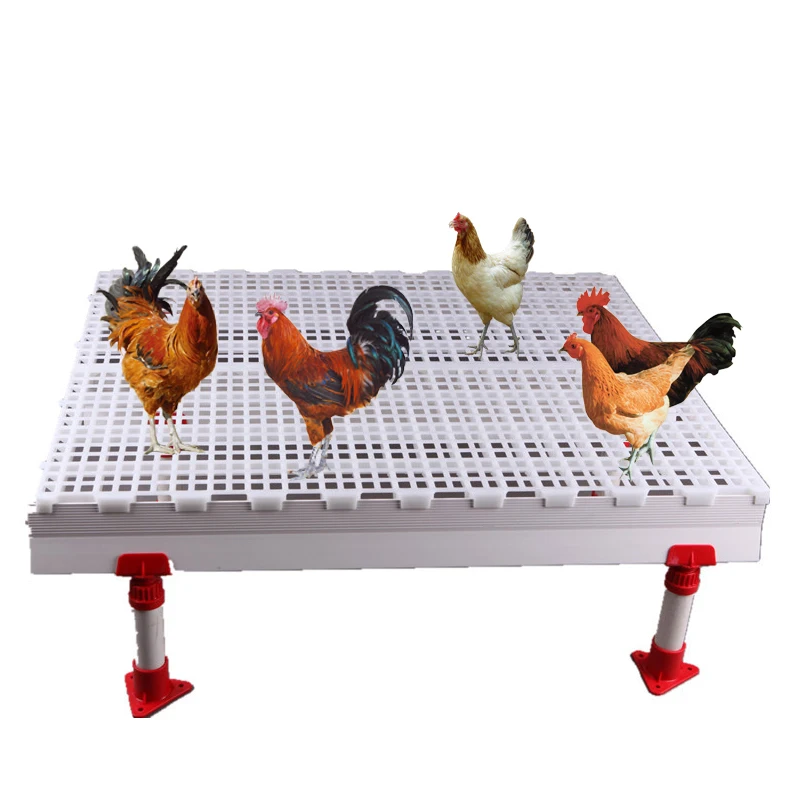2024  High-quality materials other animal husbandry equipment  Slat Floor For Broiler Farm