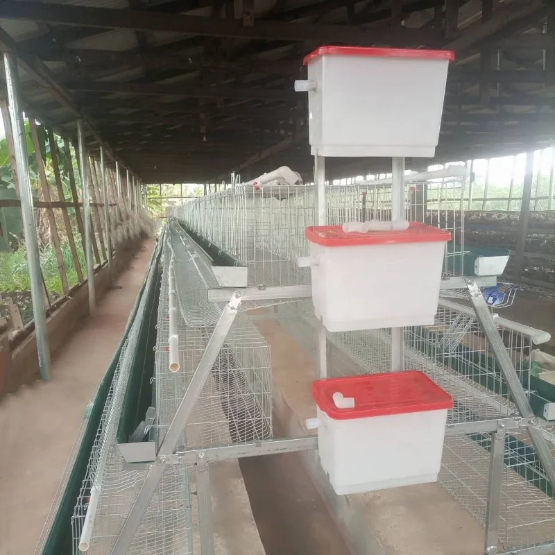 best sales A type 5 cells chicken cage for 160 layers in Uganda