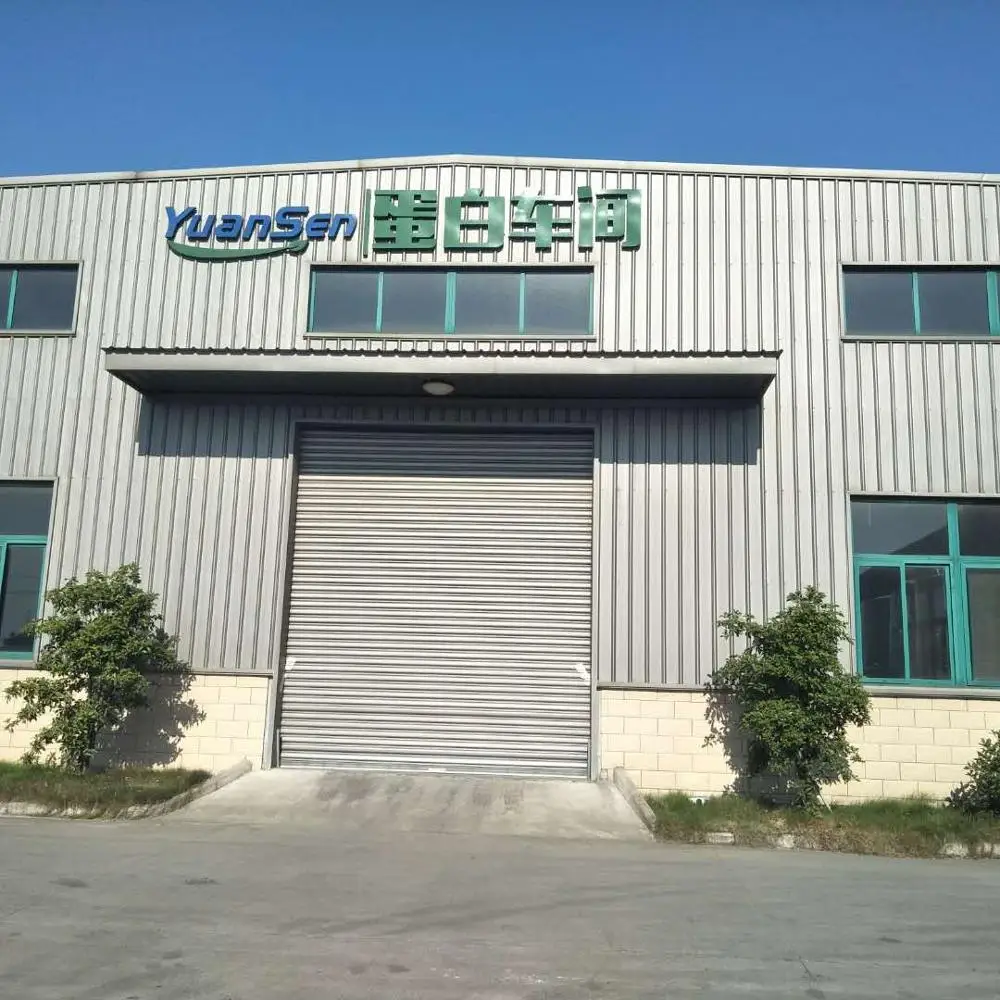 
Wholesale vegan organic protein powder rice protein isolate for meal replacement 