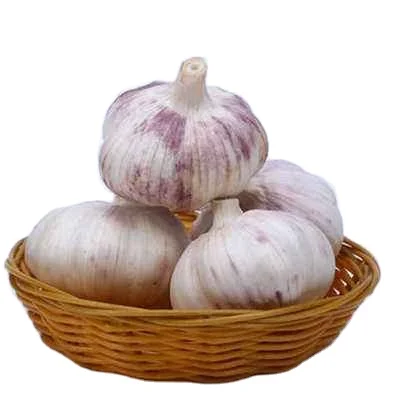 Packaging Custom Garlic China Yunnan Premium Garlic Cheap garlic