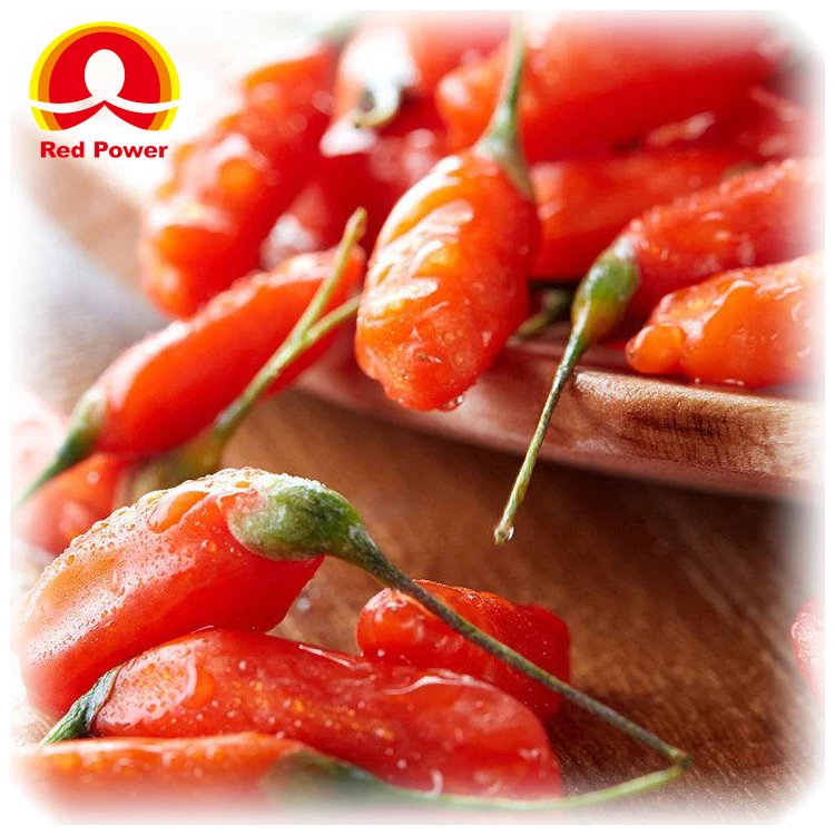 Свежие волчьи ягоды ningxia Red Power QIZITO по цене волчьих