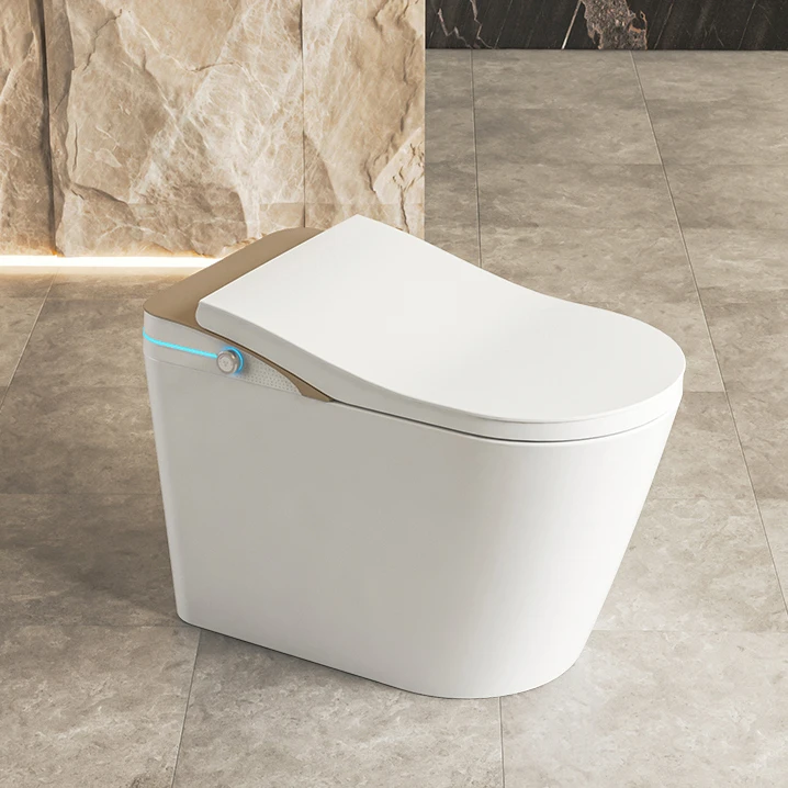 Electric Bidet Heated Smart Toilet With Sunken Water Tanka
