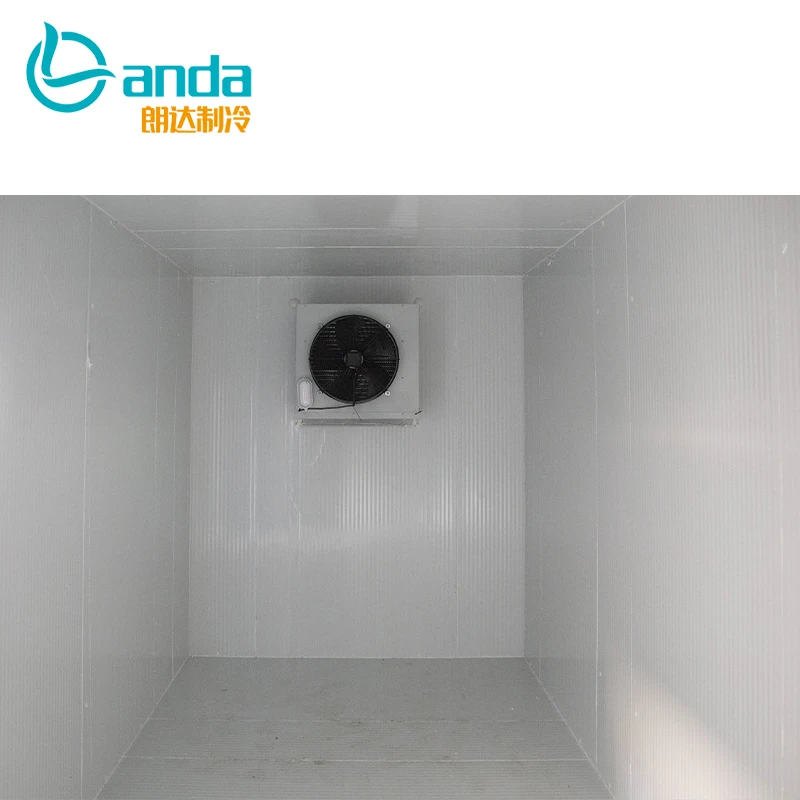 Walk in Chiller Cold Room Manufacturer Cold Storage Freezer Room with Refrigeration Equipment