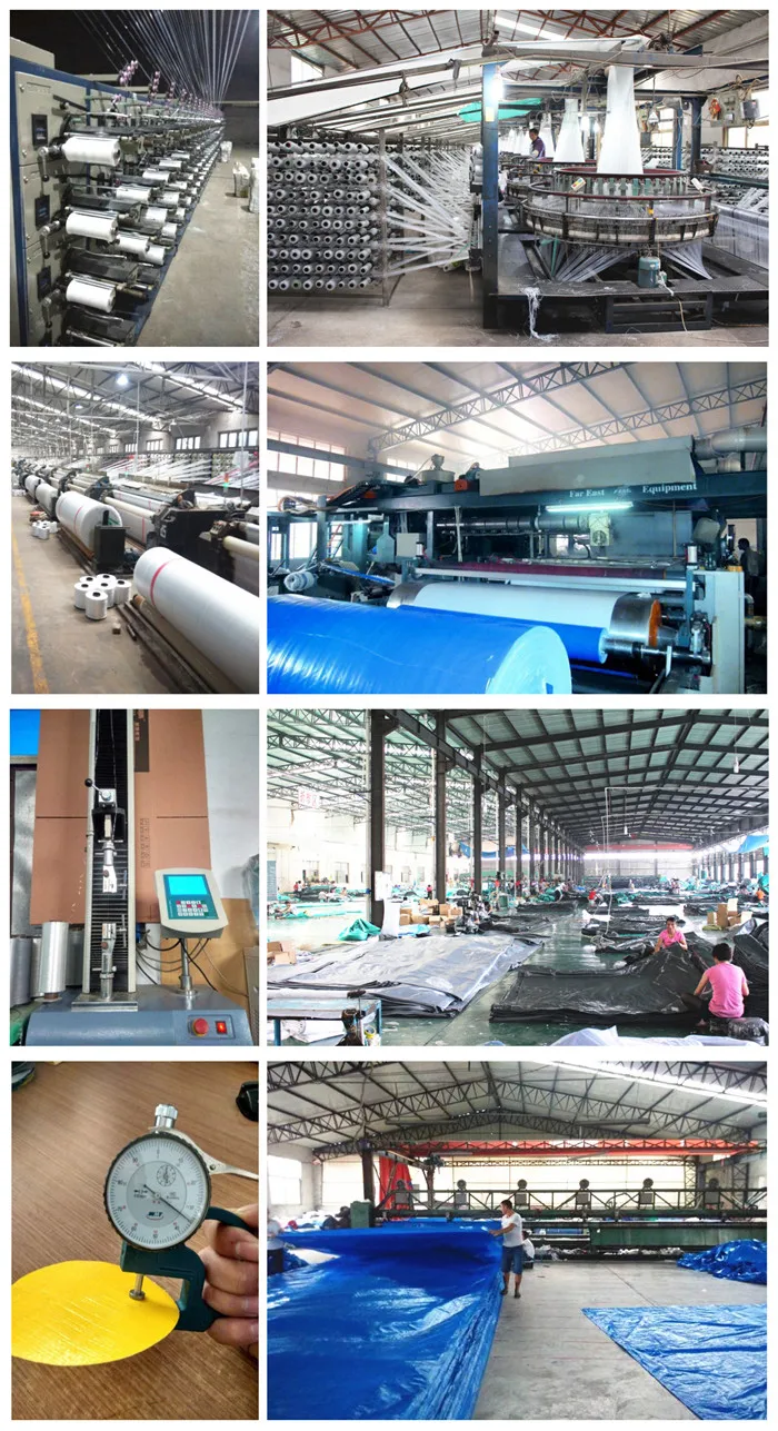 pe tarpaulin  sssss.jpg