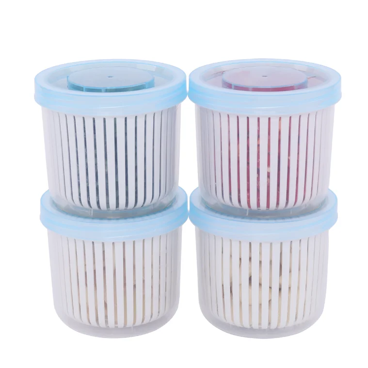 HAIXIN Home Kitchen Minced Garlic Scallion Onion Pepper Drain Vegetable Storage Box With Lid