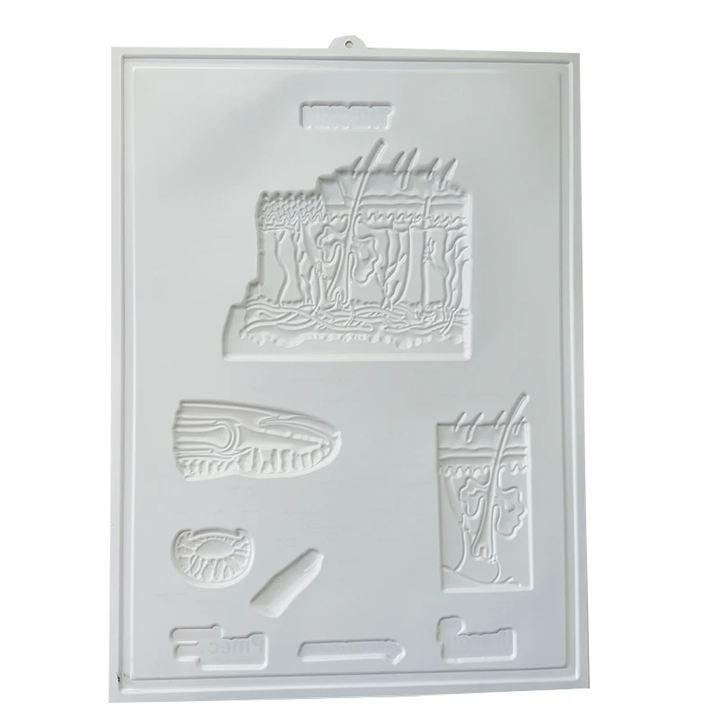 3d medical poster (4)