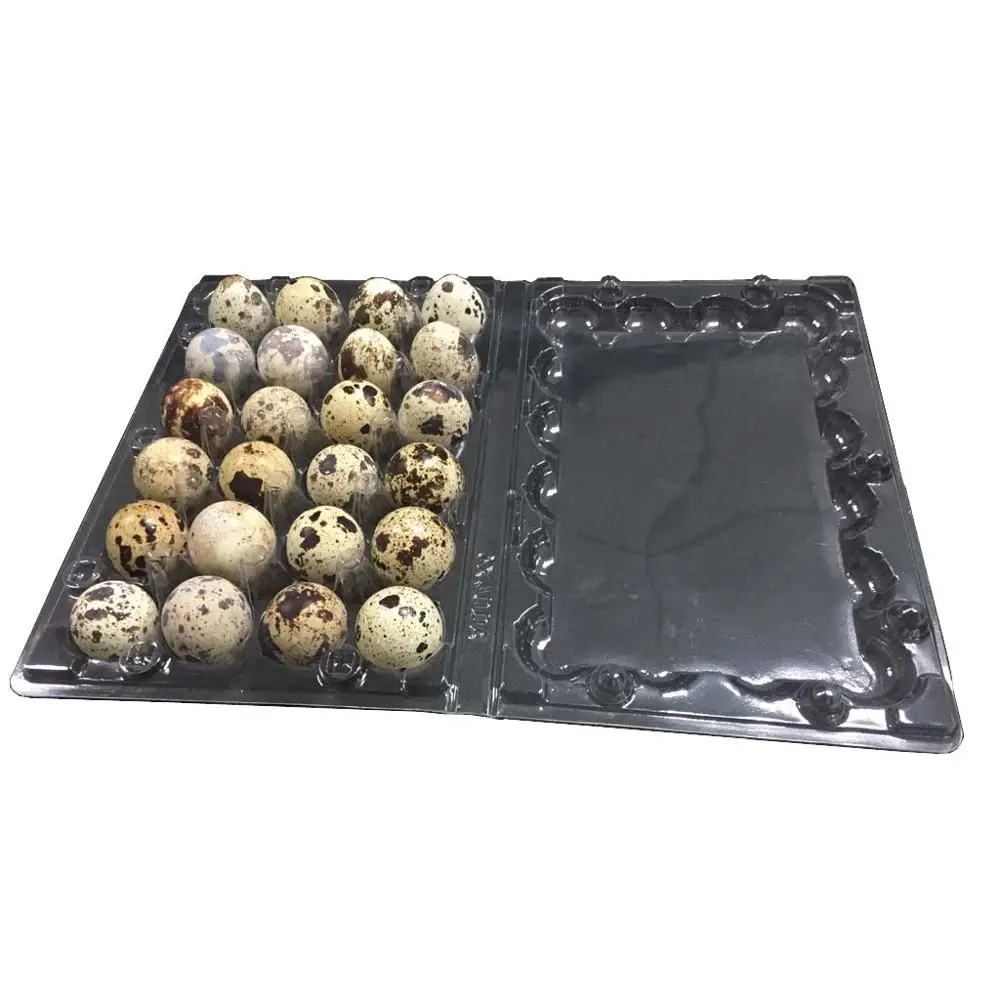 24 caves quail egg tray