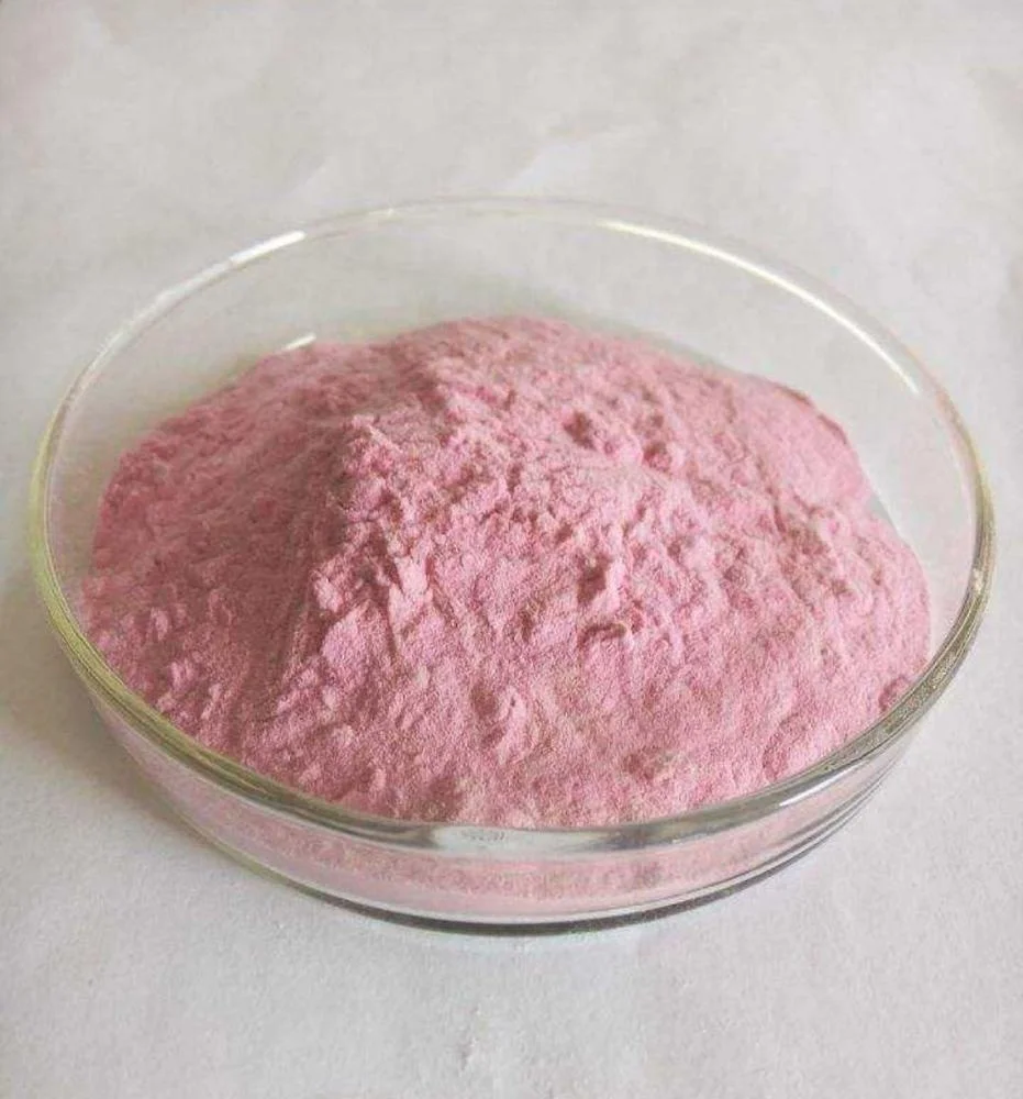 100% Pure Natural Acerola cherry extract Powder