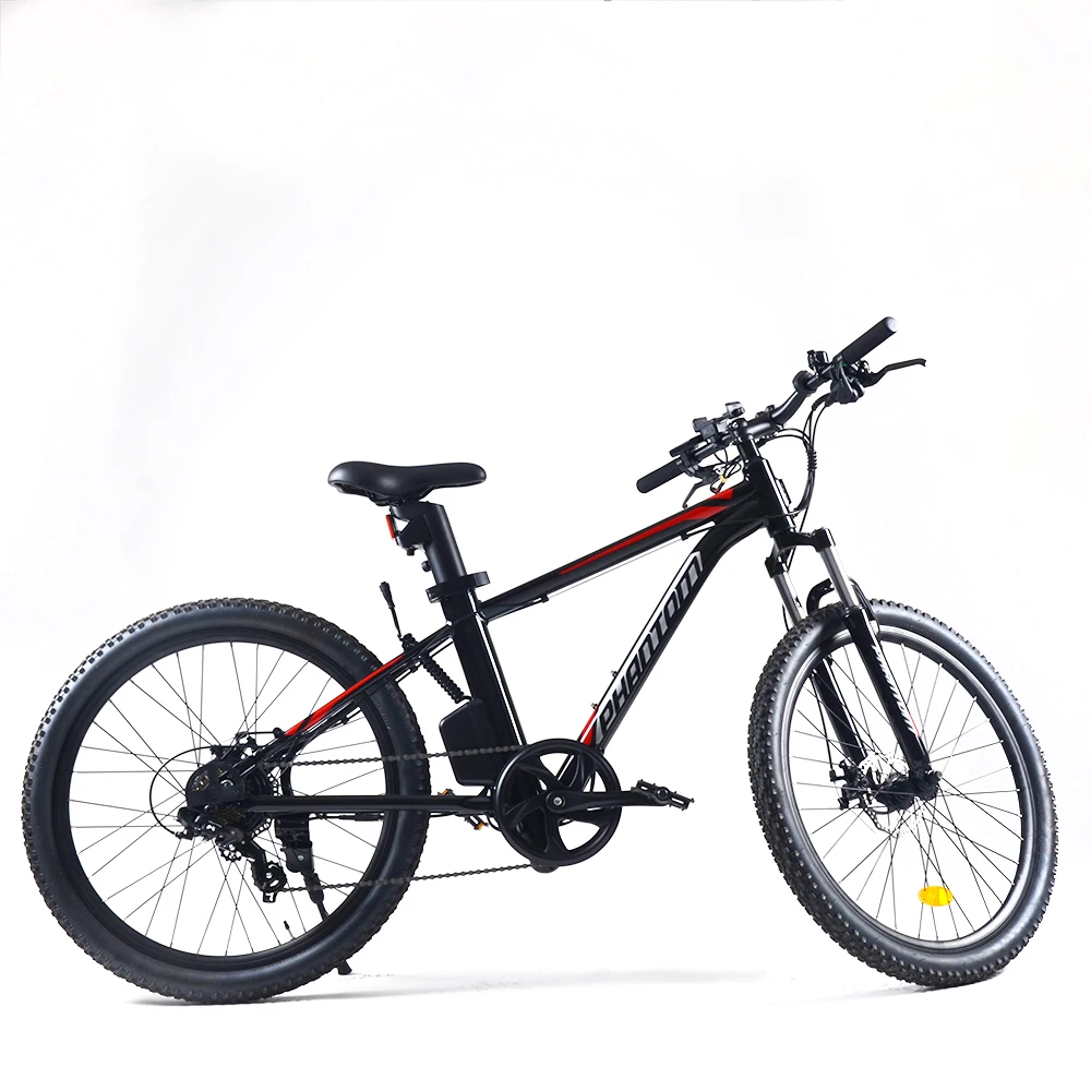 Hidden battery 750W motor 14ah 26 inch Electric Mountain Bike for sale