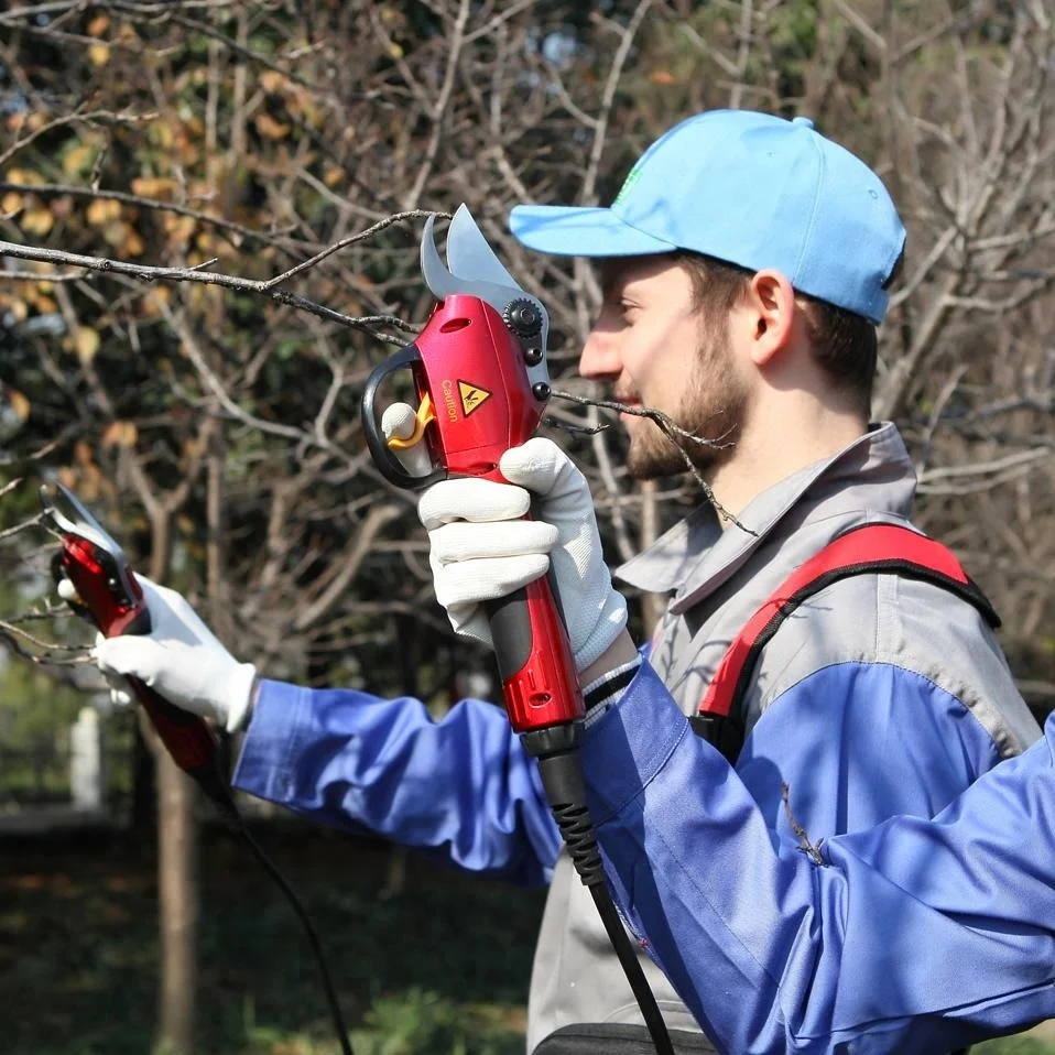 Электрические ножницы для обрезки сада с литий-ионным аккумулятором