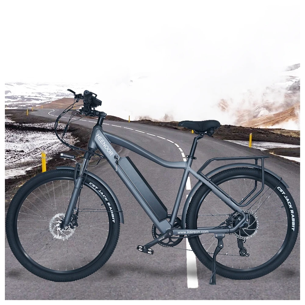 2024  China factory direct sales mountain bike 48V aluminum electric bike