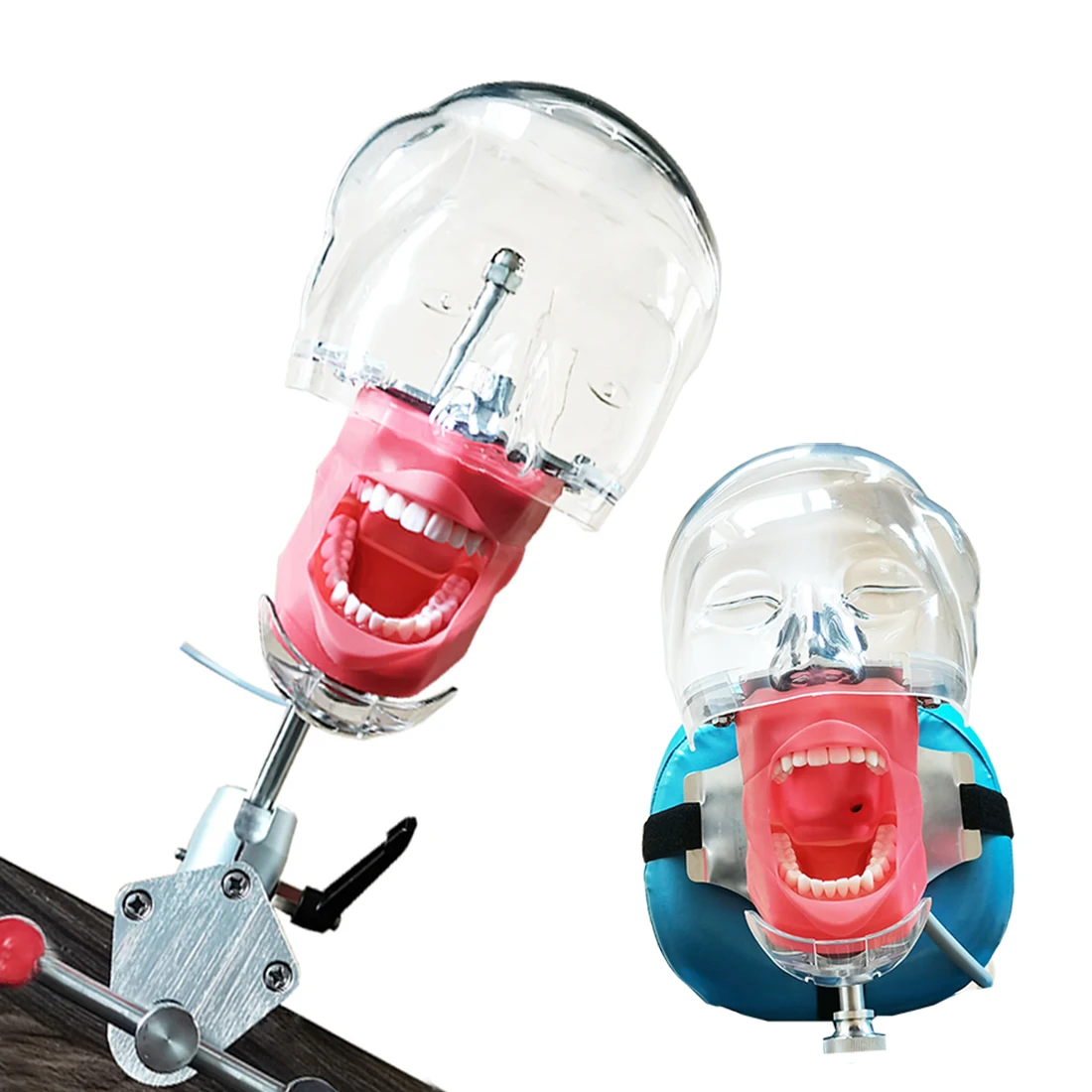 Стоматологический тренировочный симулятор фантомная головка с заменяемой моделью зубов голова манекена стоматологическое оборудование