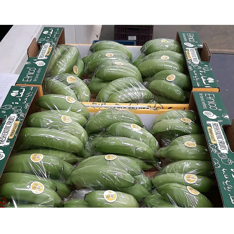 Top Grade Natural Fresh Fruit Exotic Banana Fruits Baby Banana for Sale