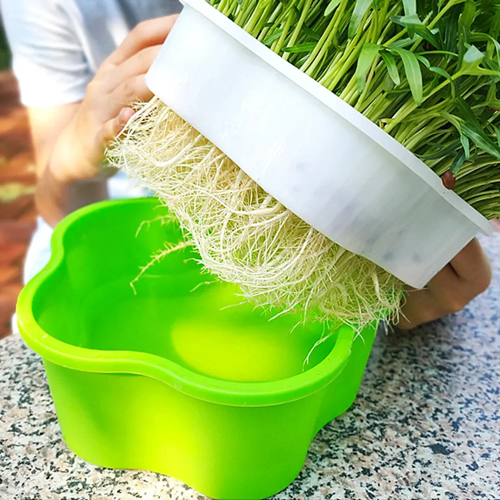 Cheap Price Durable Reusable Plastic Seedling Trays/Grow Tray/Sprout Tray Microgreen Tray