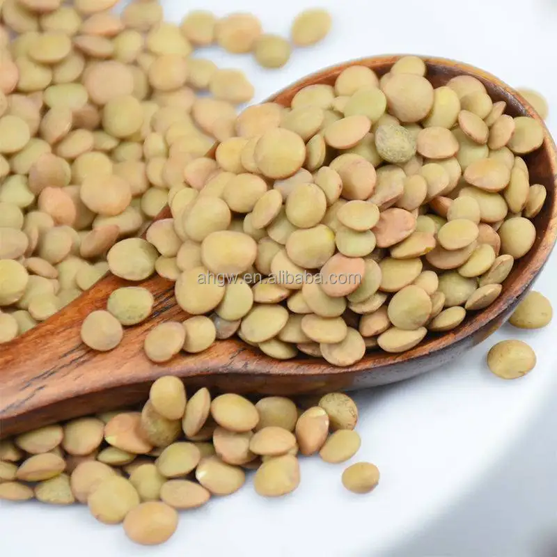 High quality cheap sale green organic additive-free green lentils