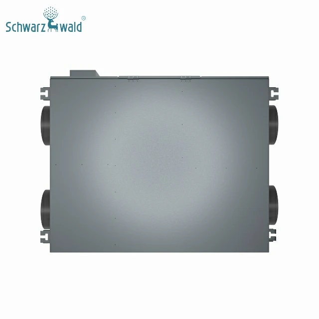Schwarzwald Forced Fresh Air PM2.5 purification villa mechanical heat energy recovery ventilation system