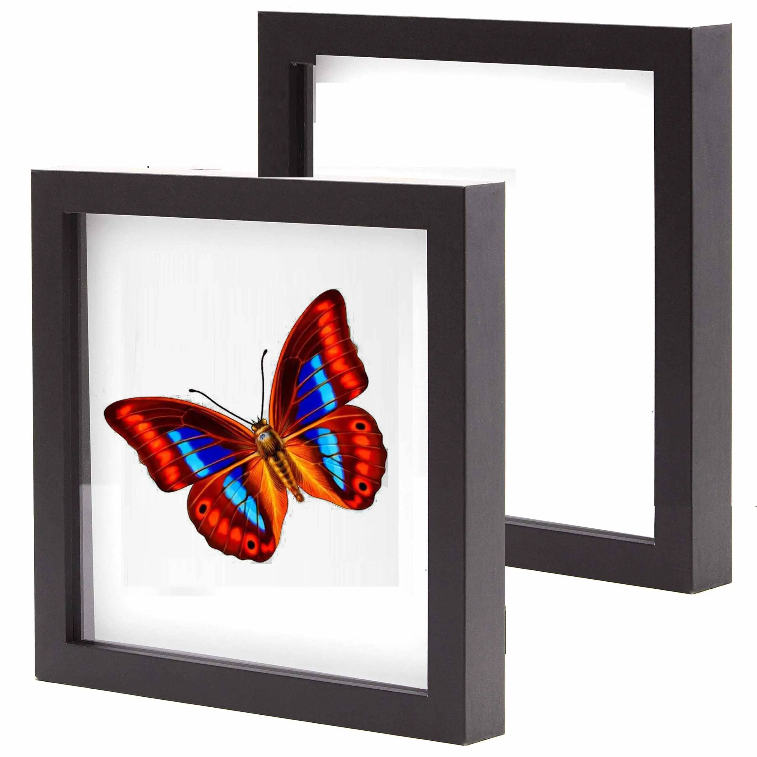 Hot Sale Simple And Popular 4*6 6*6 6*8 Inch Custom Specimen Frames With Wooden Glass 3d Shadow Box Frame